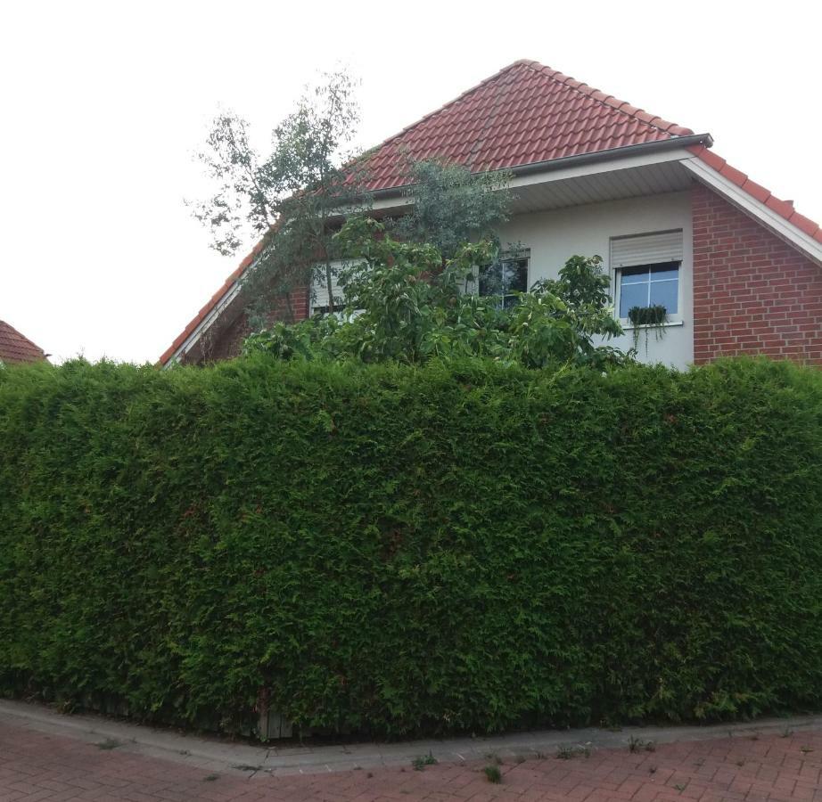 Ruhiges Direkt An Den Leineauen Accommodatie bij particulieren